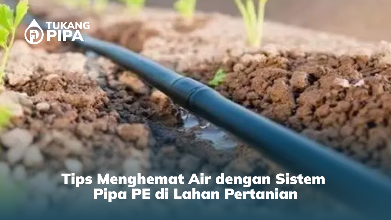 Tips Menghemat Air dengan Sistem Pipa PE di Lahan Pertanian