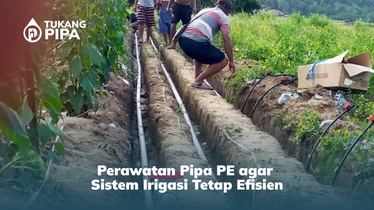 Perawatan Pipa PE agar Sistem Irigasi Tetap Efisien