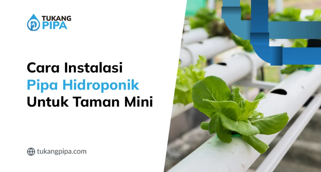 Tips Merawat Pipa Hidroponik Tetap Awet