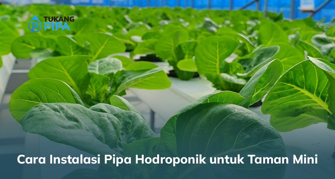 Cara Instalasi Pipa Hidroponik untuk Taman Mini