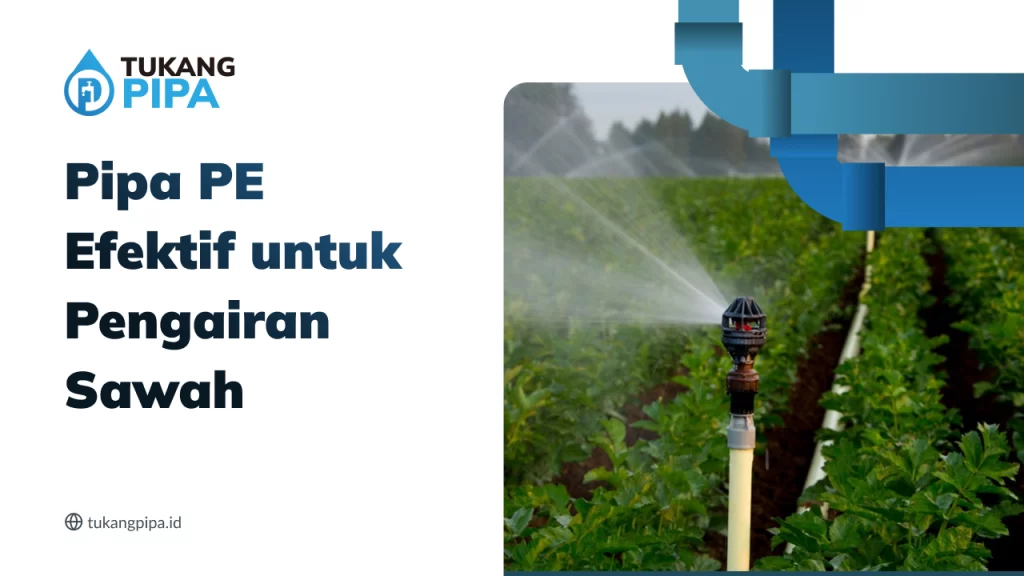Keunggulan Pipa PE untuk Pengairan Sawah Maksimal