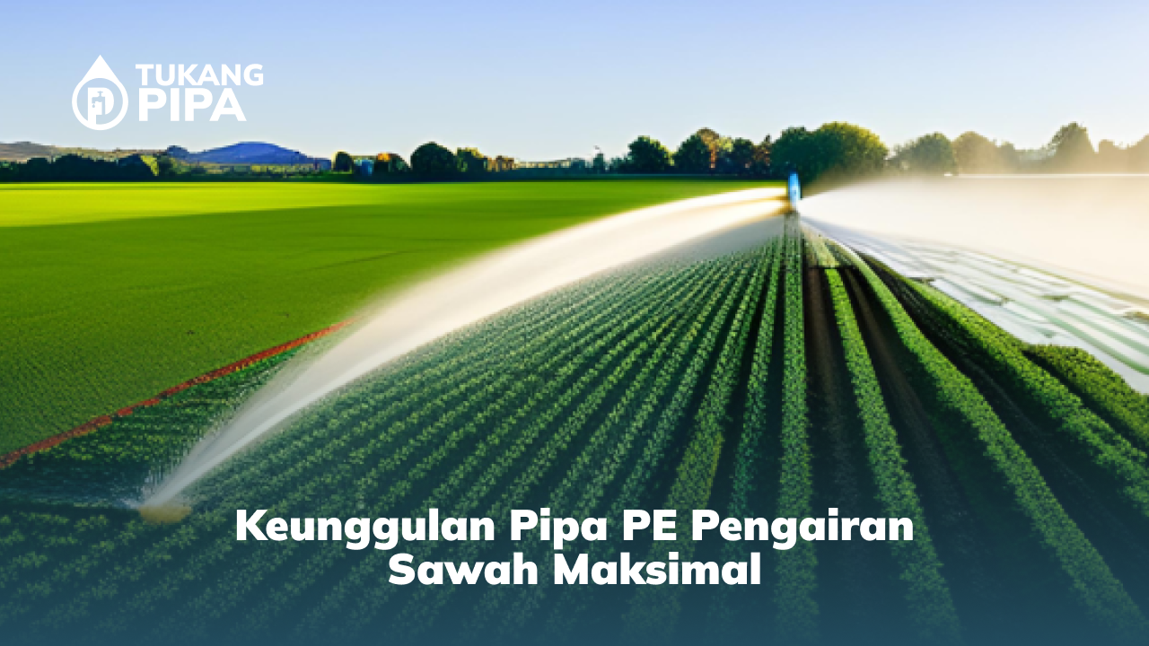 Keunggulan Pipa PE untuk Pengairan Sawah Maksimal