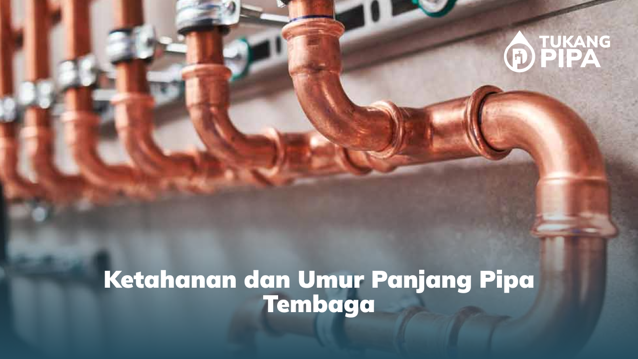 3. Ketahanan dan Umur Panjang Pipa Tembaga