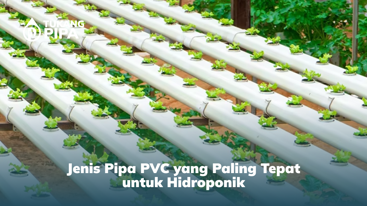 Jenis Pipa PVC yang Paling Tepat untuk Hidroponik