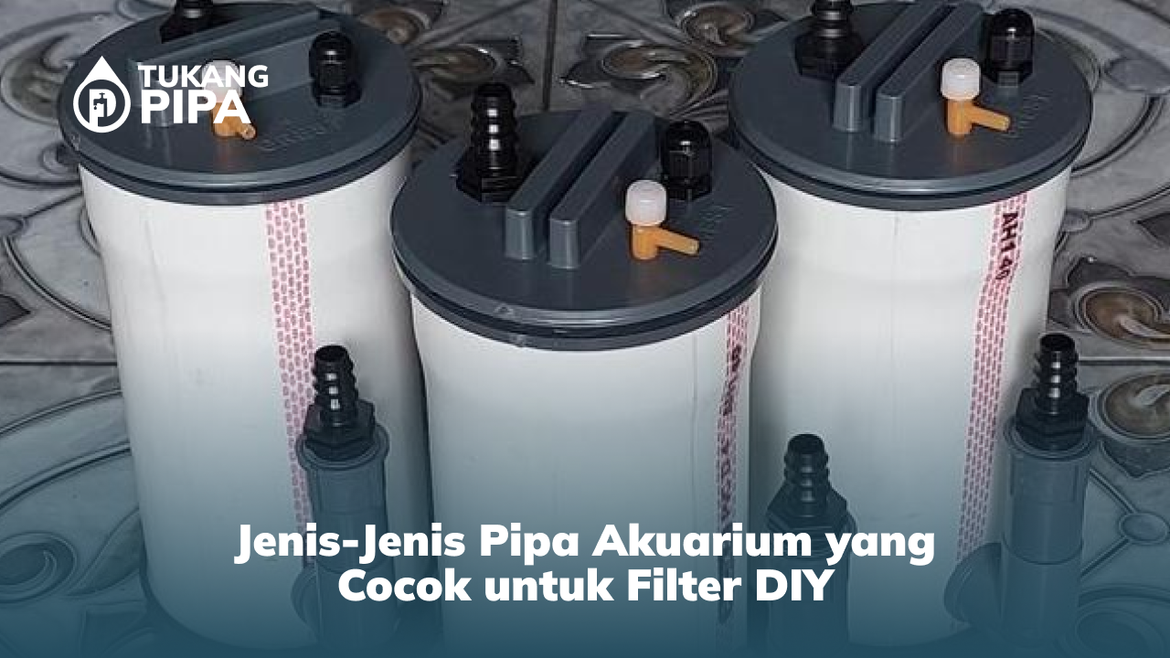 Jenis-Jenis Pipa Akuarium yang Cocok untuk Filter DIY