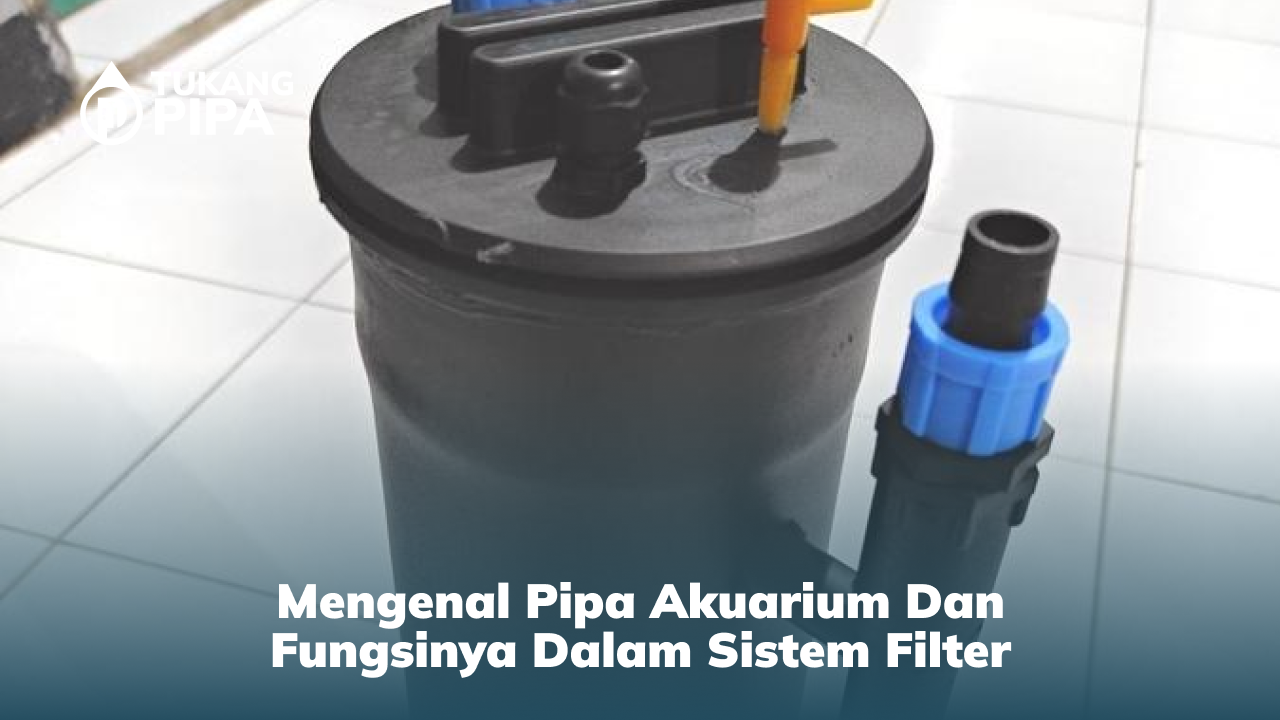 Mengenal Pipa Akuarium dan Fungsinya dalam Sistem Filter