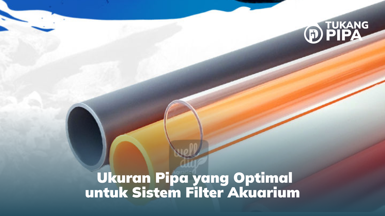 Ukuran Pipa yang Optimal untuk Sistem Filter Akuarium
