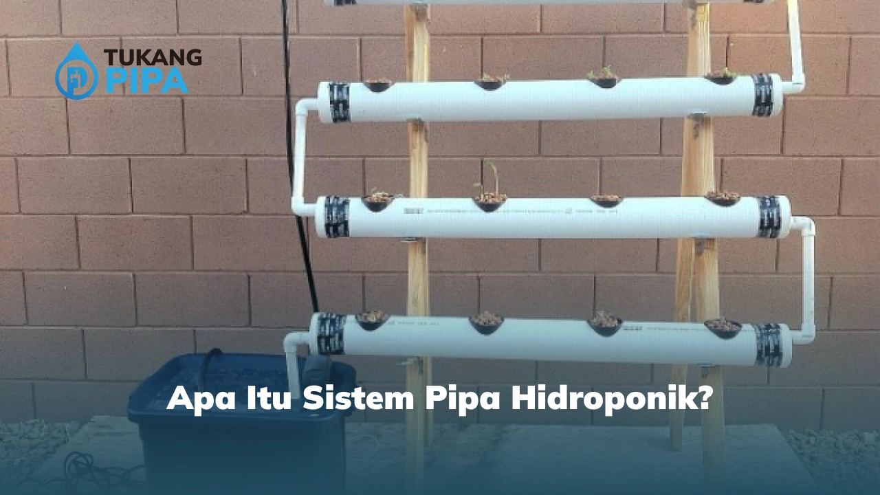 Apa Itu Sistem Pipa Hidroponik?