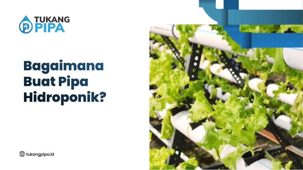 Bagaimana Buat Pipa Hidroponik?
