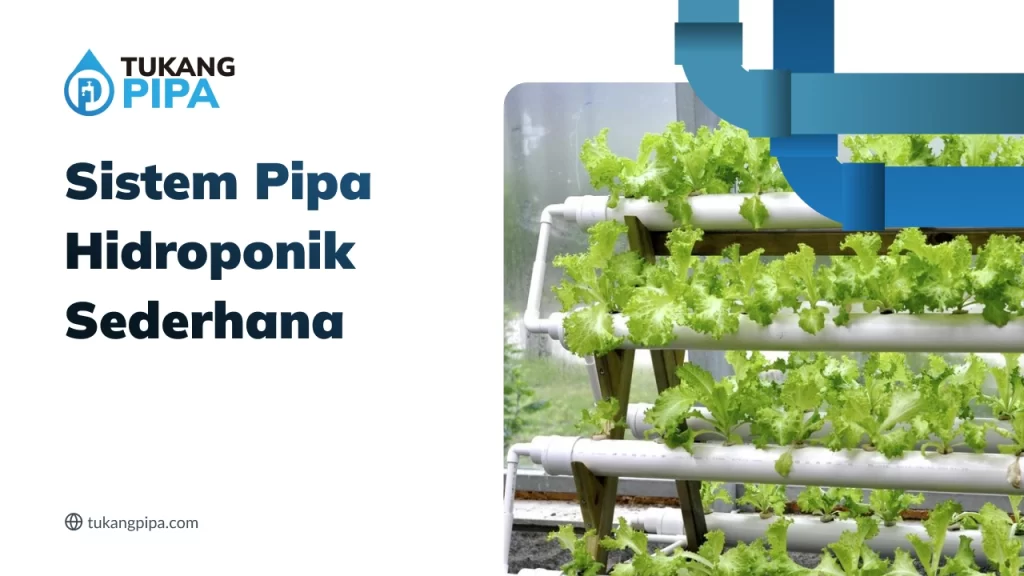 Sistem Pipa Hidroponik Sederhana