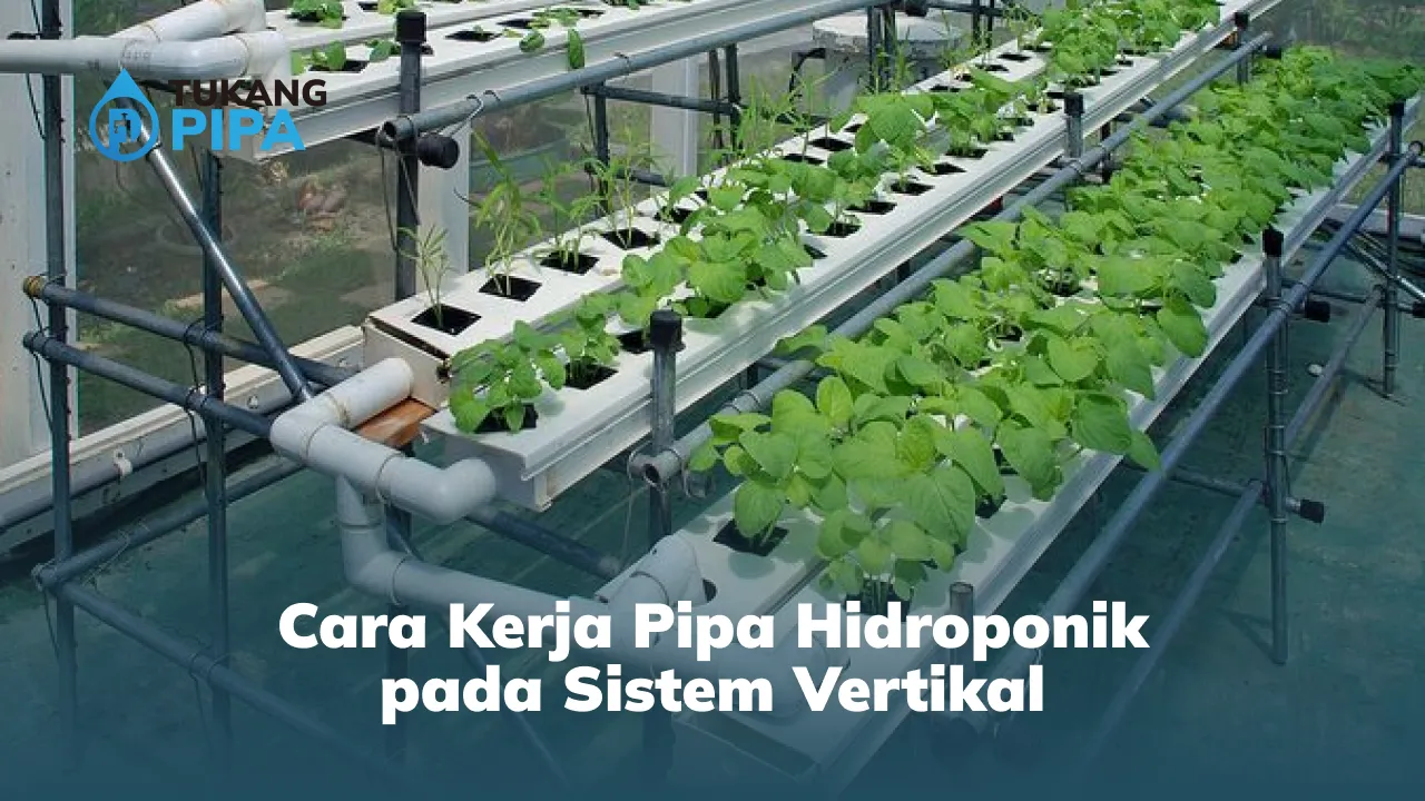 cara_kerja_pipa_hidroponik_pada_sistem_vertikal_1x