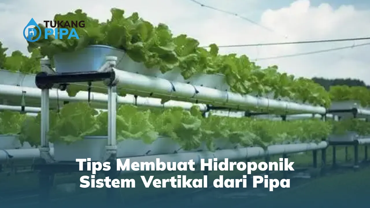 tips_membuat_hidroponik_sistem_vertikal_dari_pipa_1x