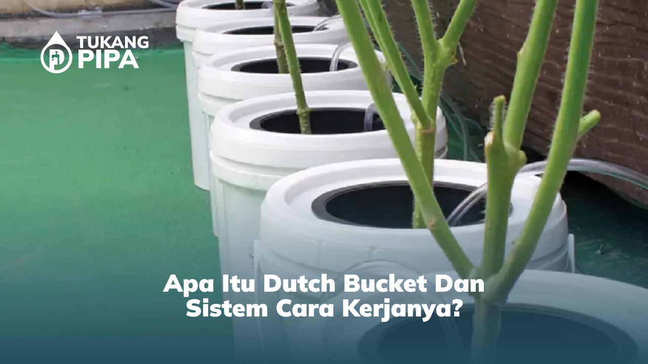 apa_itu_dutch_bucket_dan_sistem_cara_kerjanya_