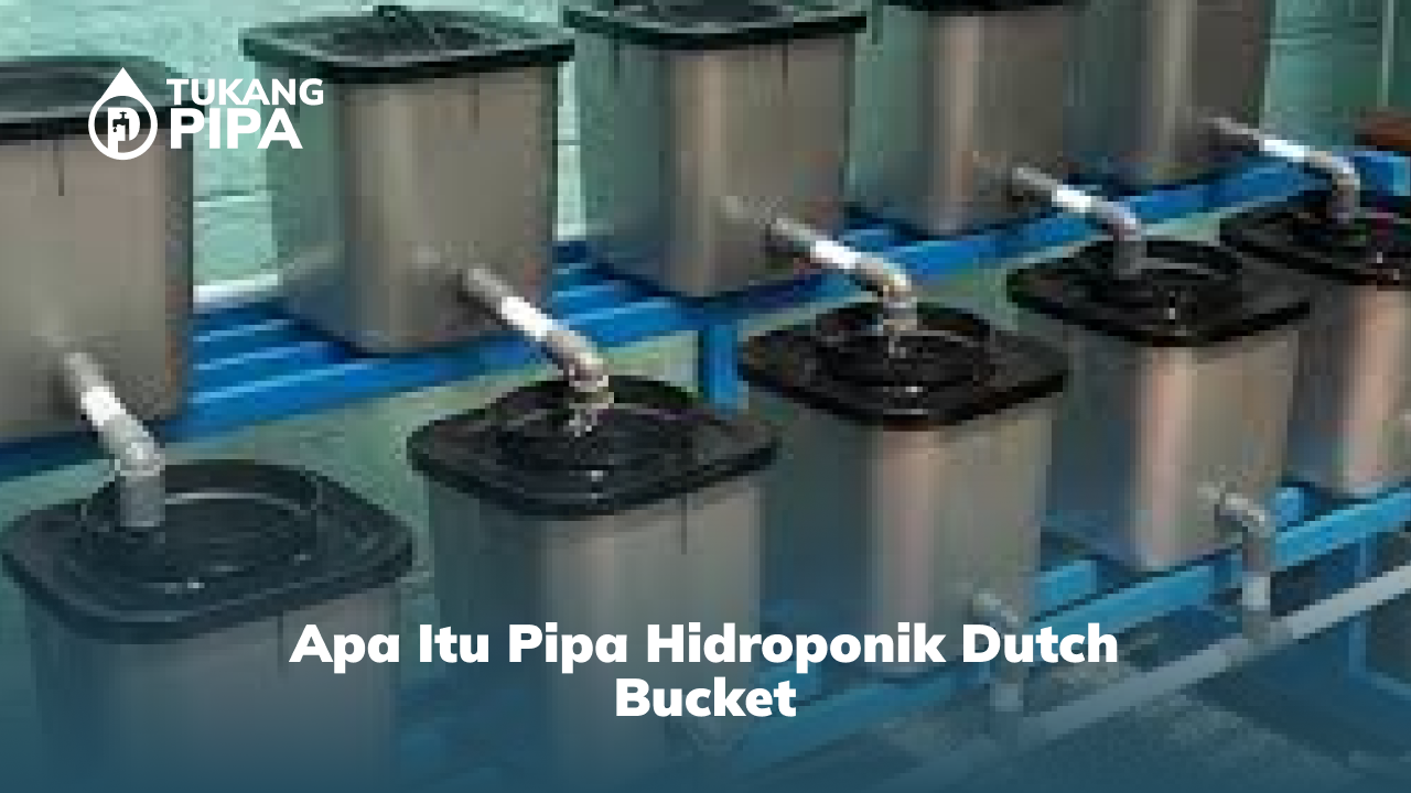 Apa Itu Pipa Hidroponik Dutch Bucket