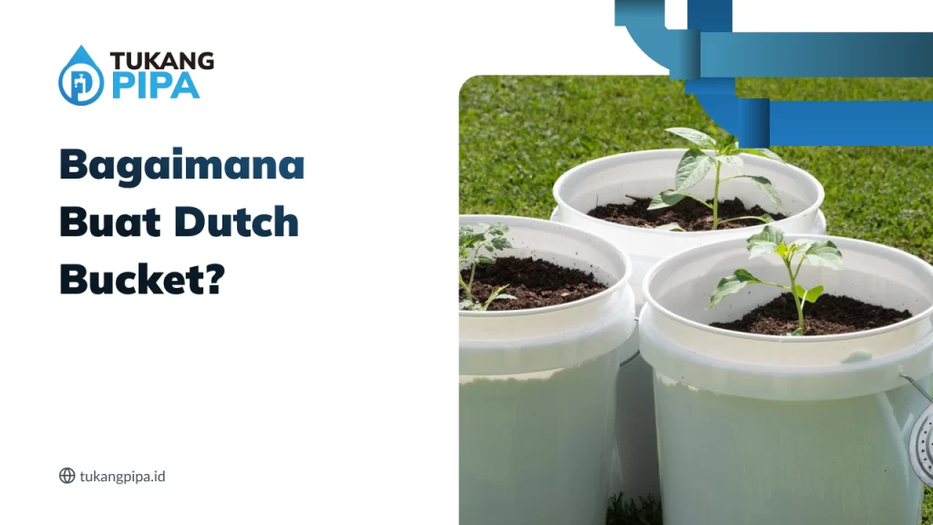 bagaimana_buat_dutch_bucket_