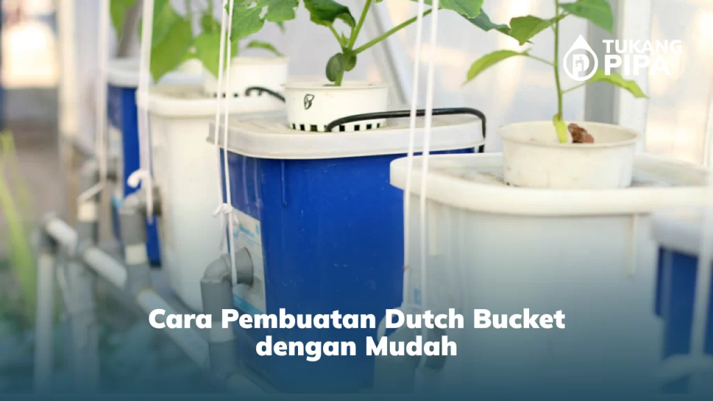 cara_pembuatan_dutch_bucket_dengan_mudah