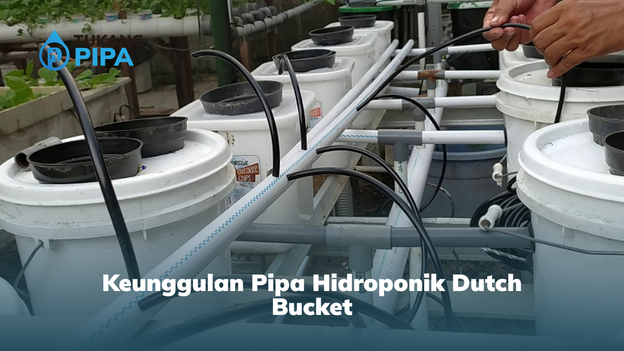 Keunggulan Pipa Hidroponik Dutch Bucket