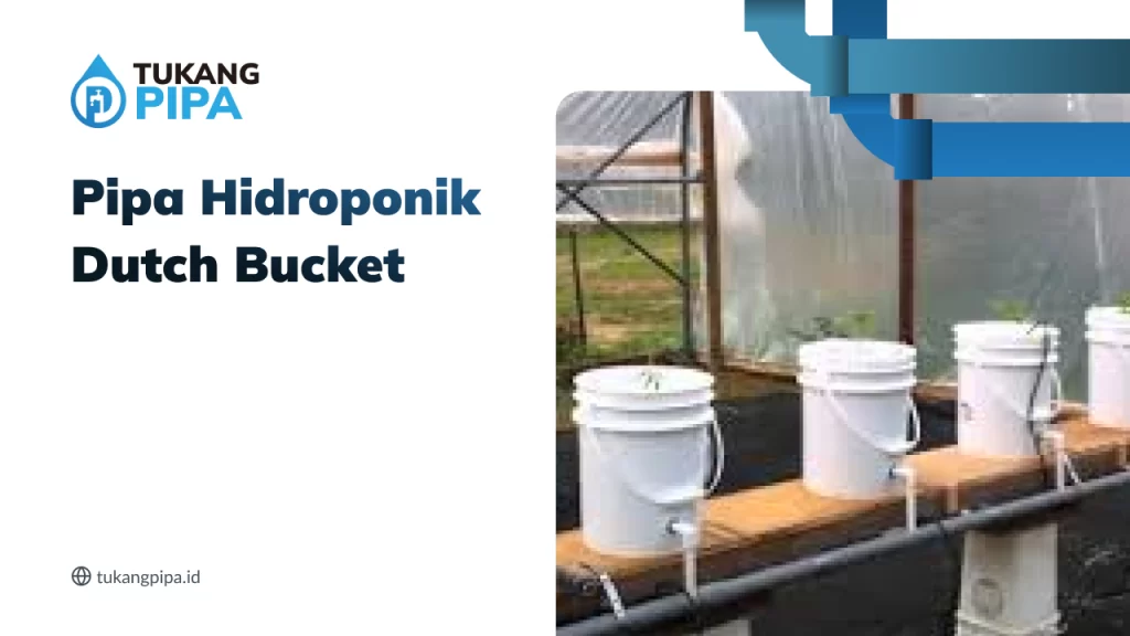 Pipa Hidroponik Dutch Bucket