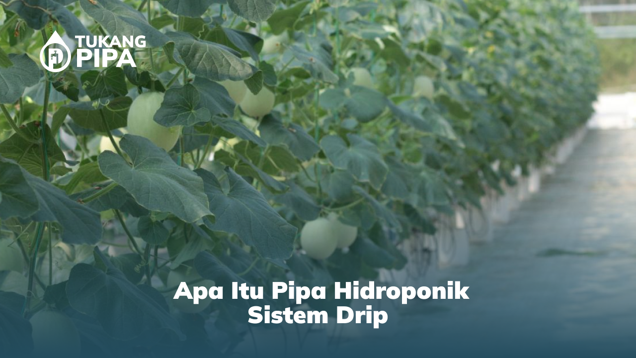_apa_itu_pipa_hidroponik_sistem_drip