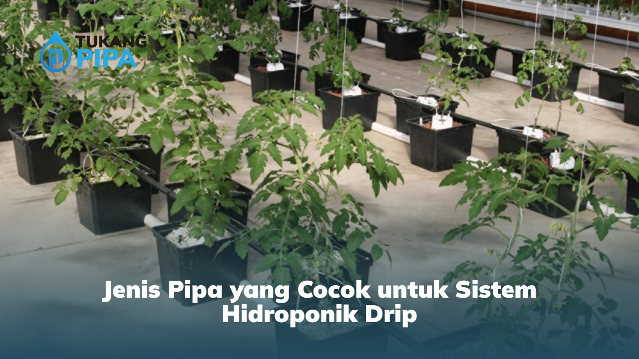 jenis_pipa_yang_cocok_untuk_sistem_hidroponik_drip