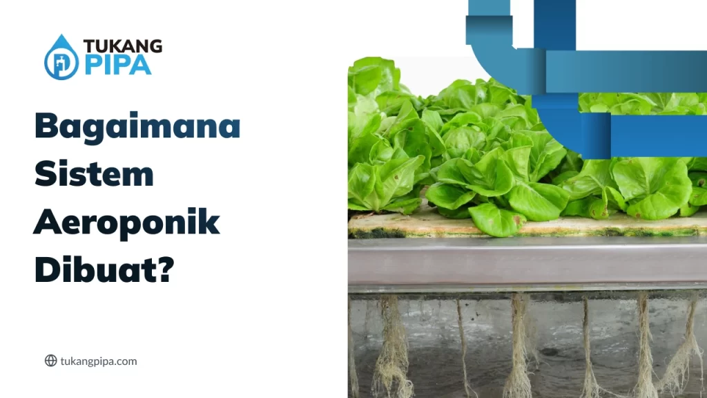 Bagaimana Sistem Aeroponik Dibuat?