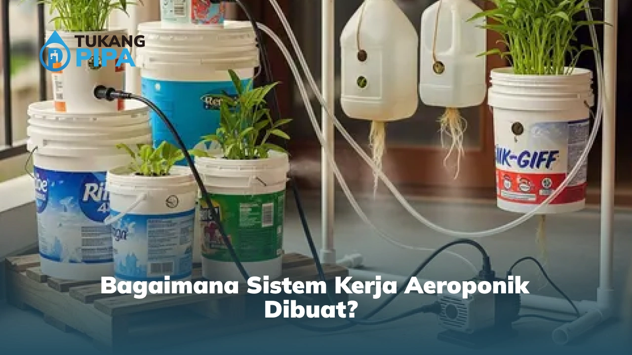 Bagaimana Sistem Kerja Aeroponik Dibuat?