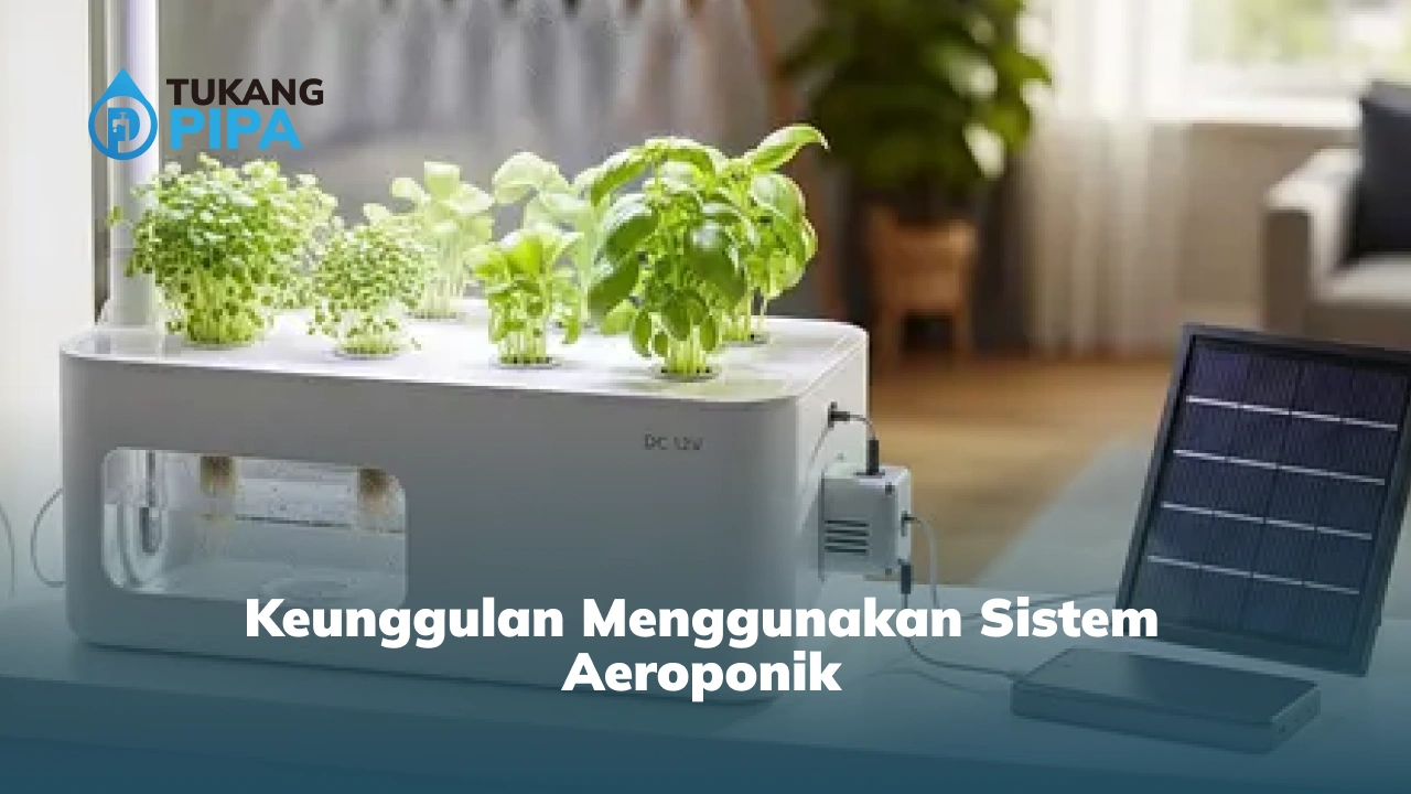 Keunggulan Menggunakan Sistem Aeroponik