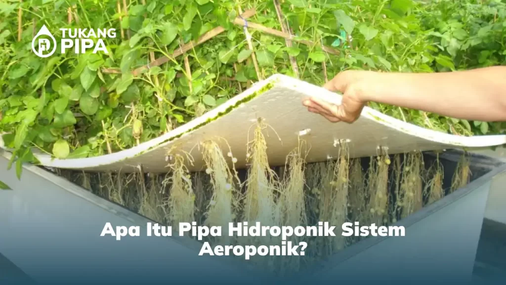Apa Itu Pipa Hidroponik Sistem Aeroponik?