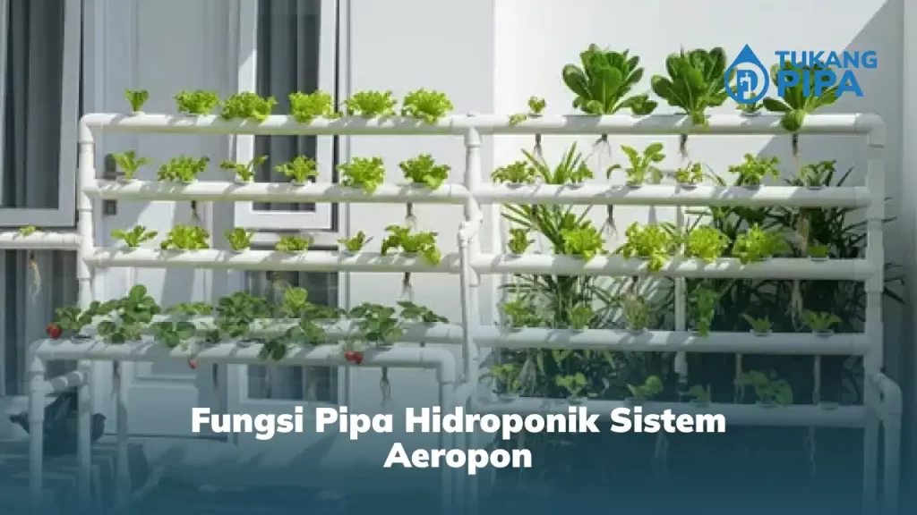 Fungsi Pipa Hidroponik Sistem Aeroponik