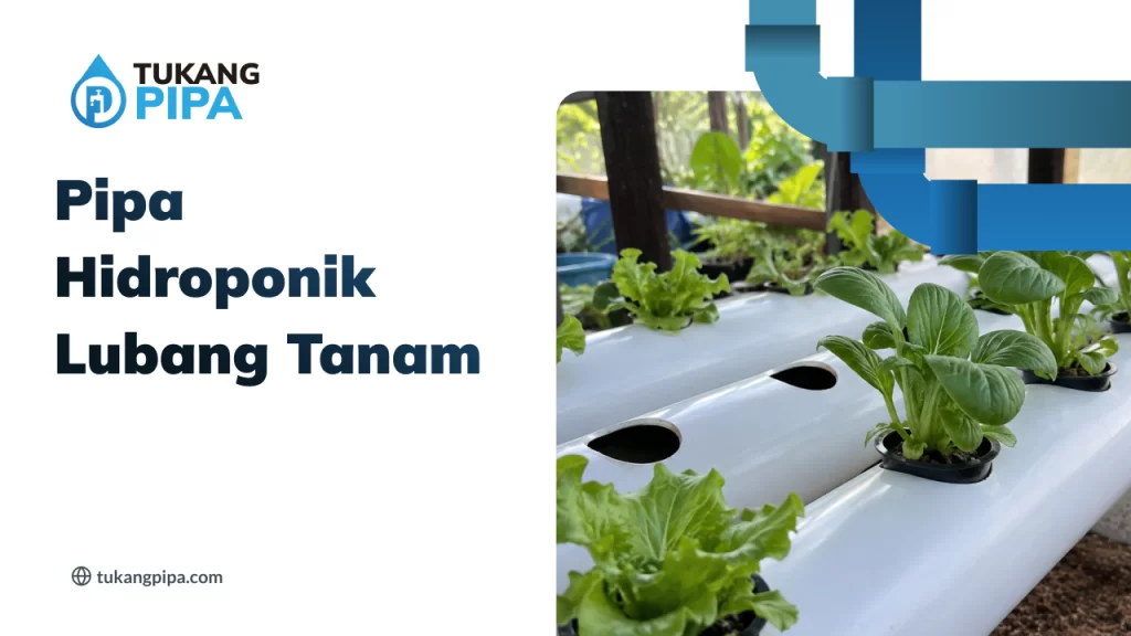 Pipa Hidroponik Lubang Tanam