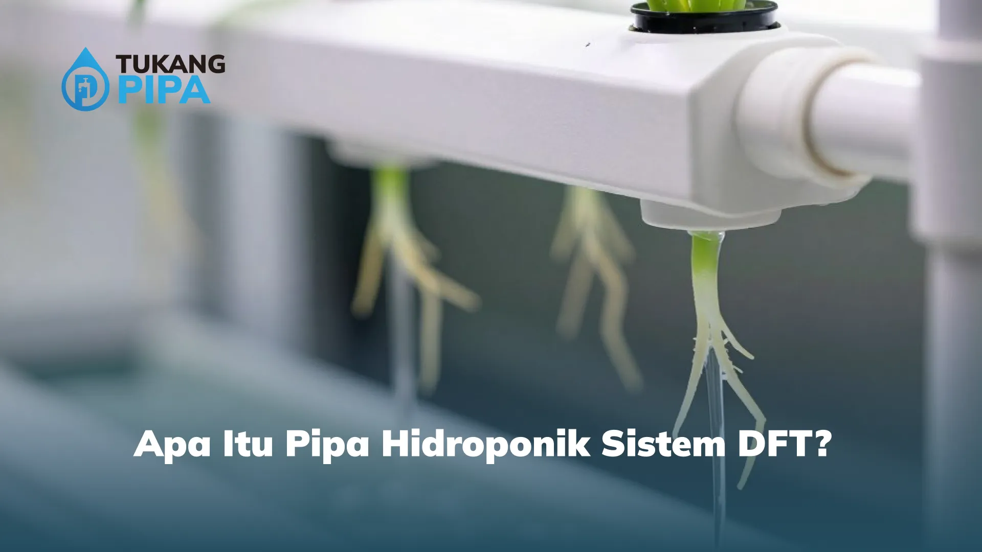 Apa Itu Pipa Hidroponik Sistem DFT?