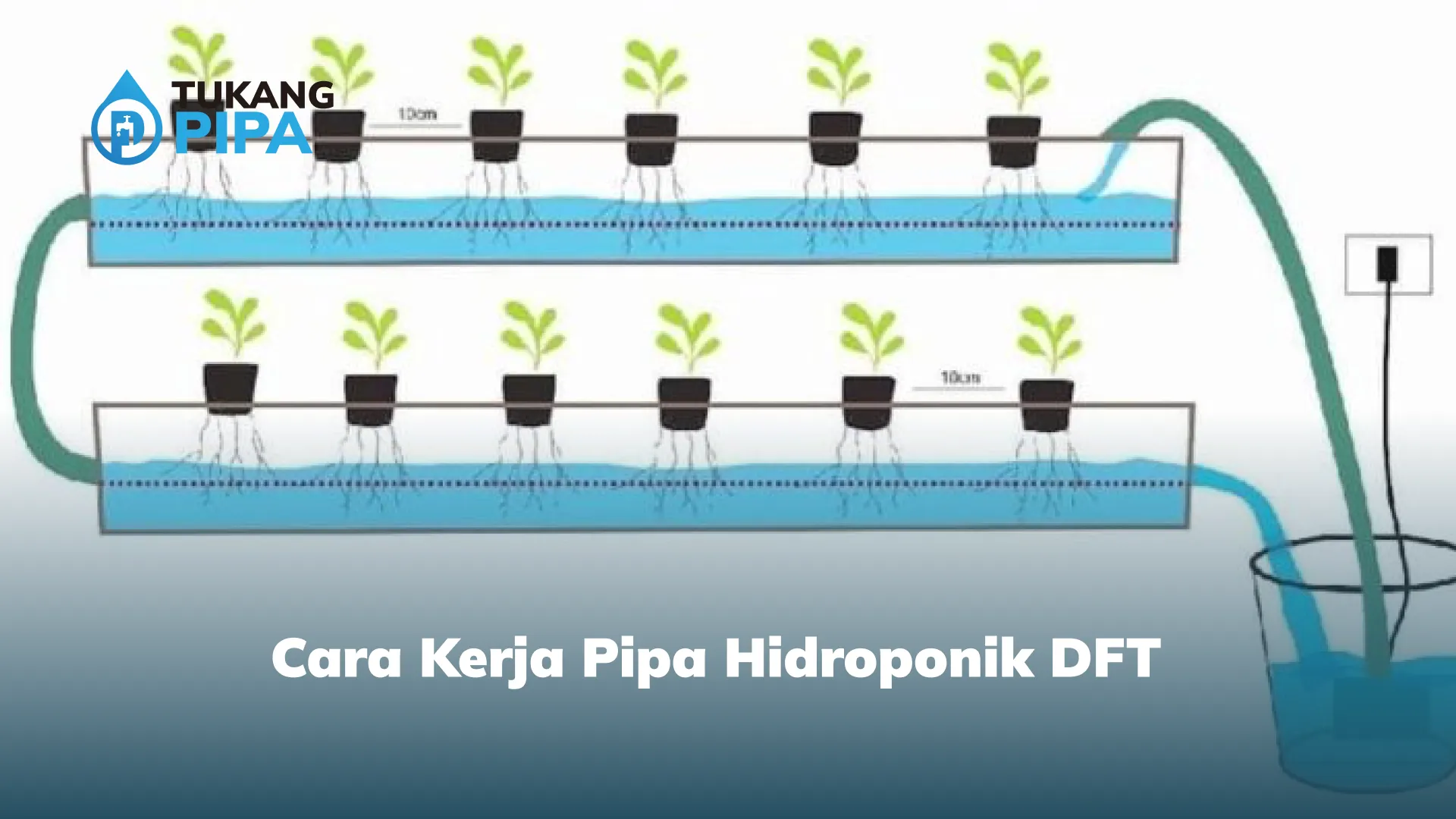 Cara Kerja Pipa Hidroponik DFT