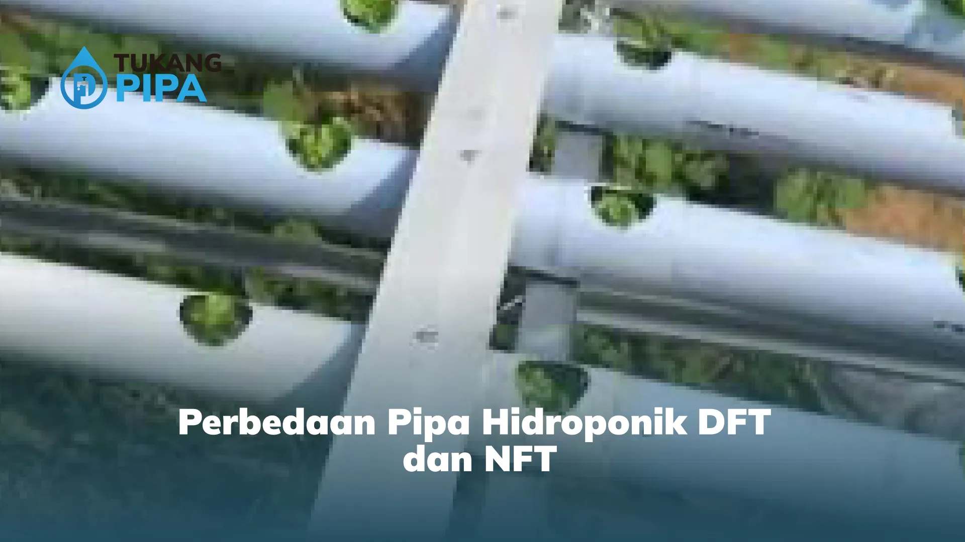 Perbedaan Pipa Hidroponik DFT dan NFT