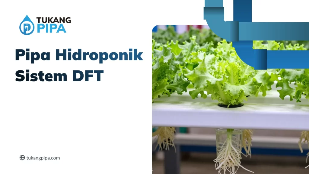 Pipa Hidroponik Sistem DFT