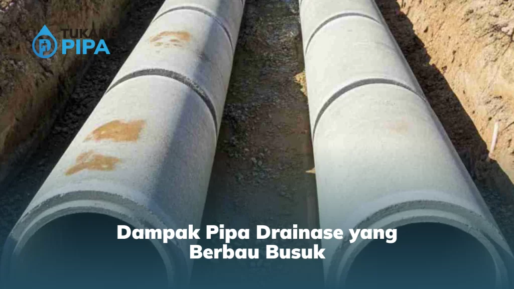 Dampak Pipa Drainase yang Berbau Busuk