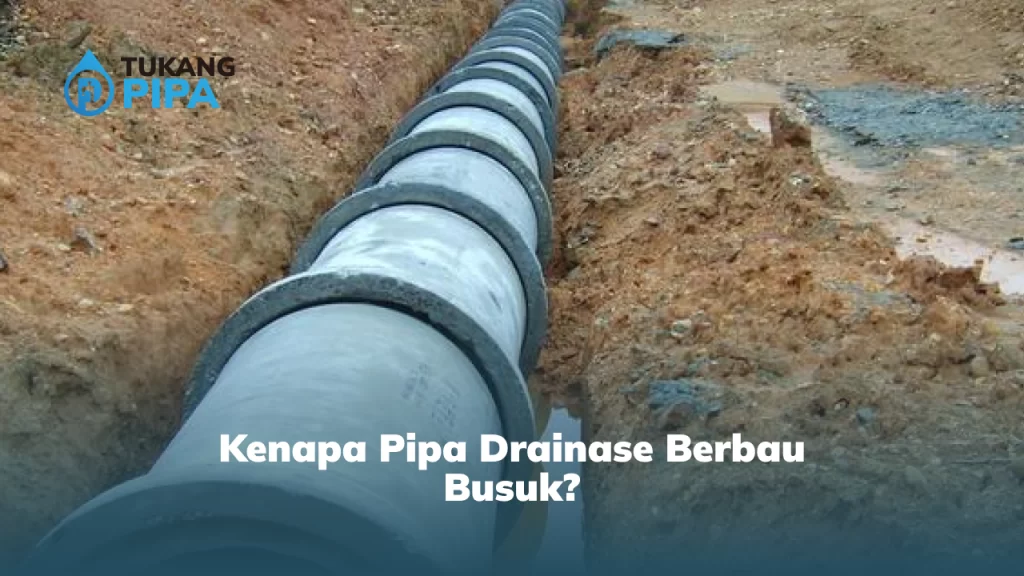 Kenapa Pipa Drainase Berbau Busuk?